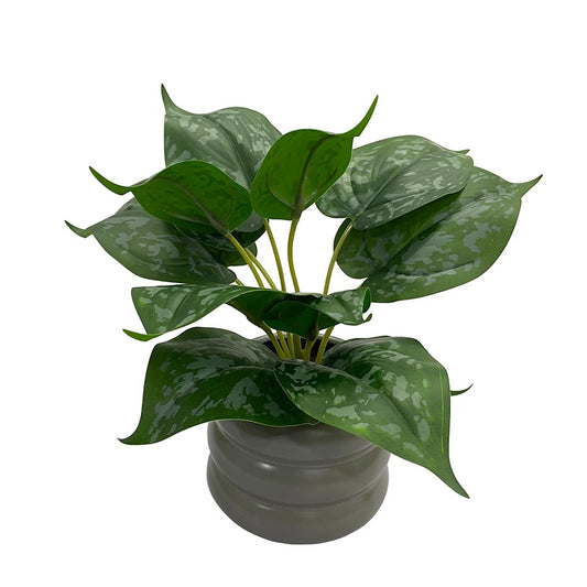 Planta Artificial Vitis Decorativa Con Macetero De Ceramica Color Gris